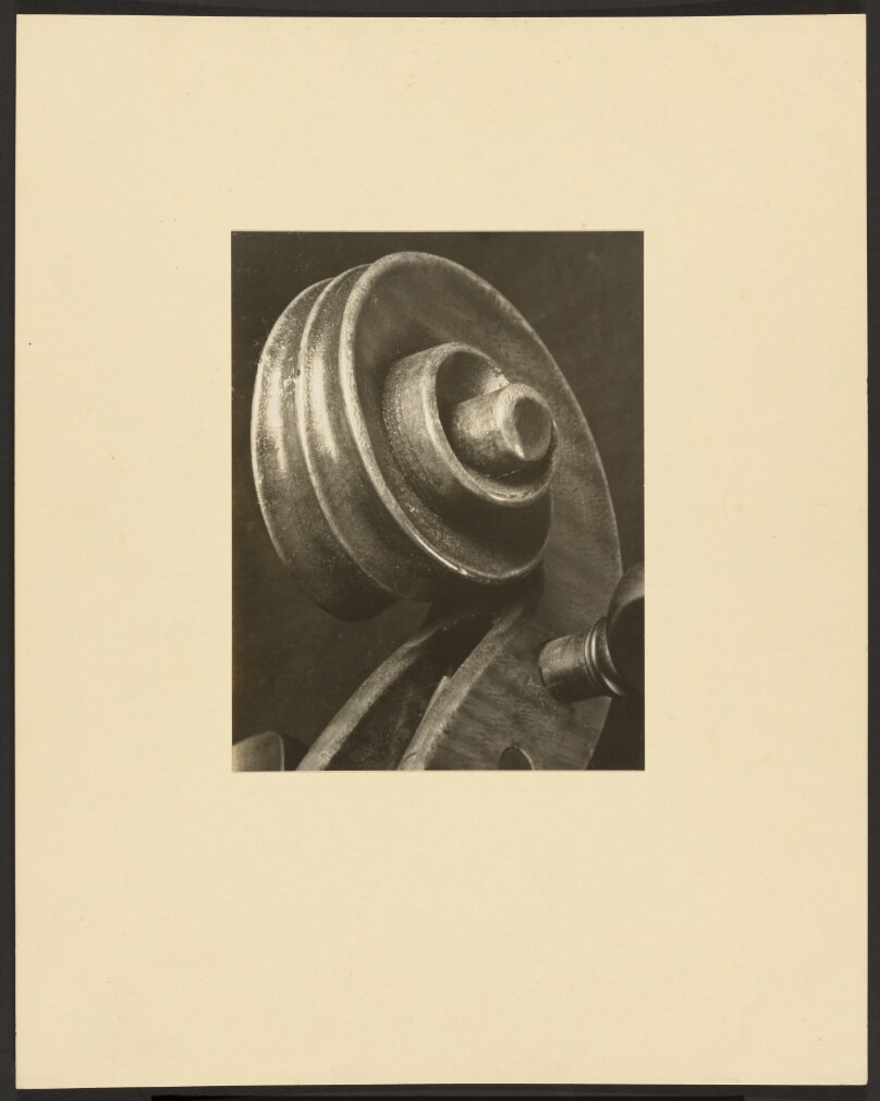 [Cello Scroll]