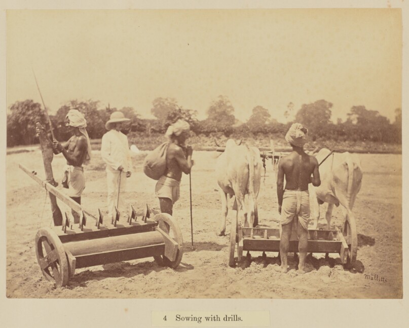 Sowing with drills