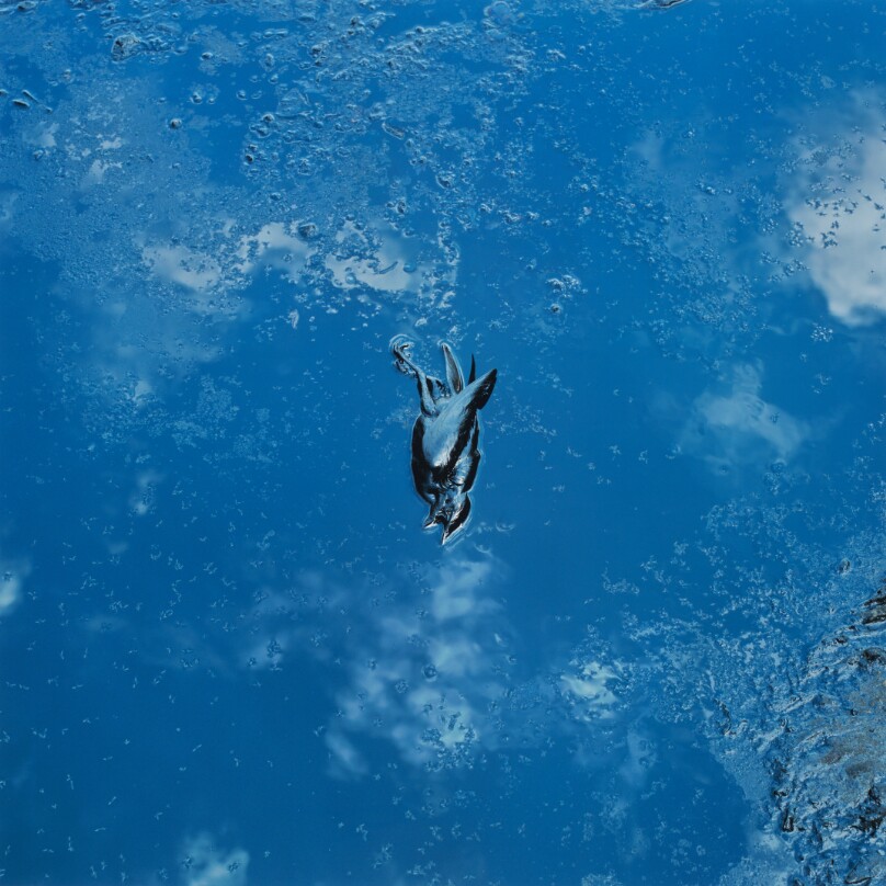 Everything #6