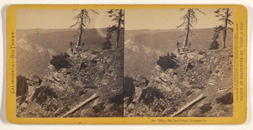 Big Tree Point, Mariposa Co.
