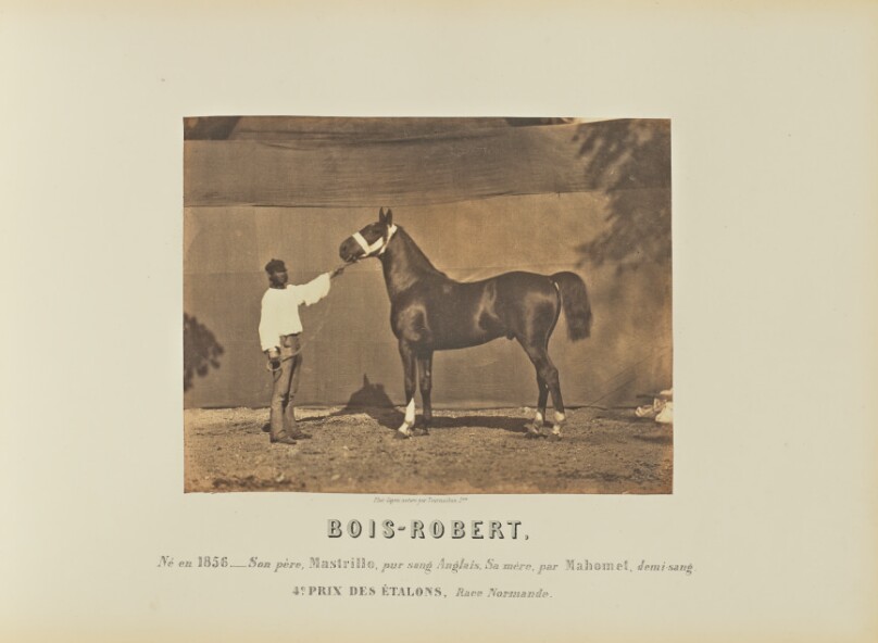 Bois-Robert