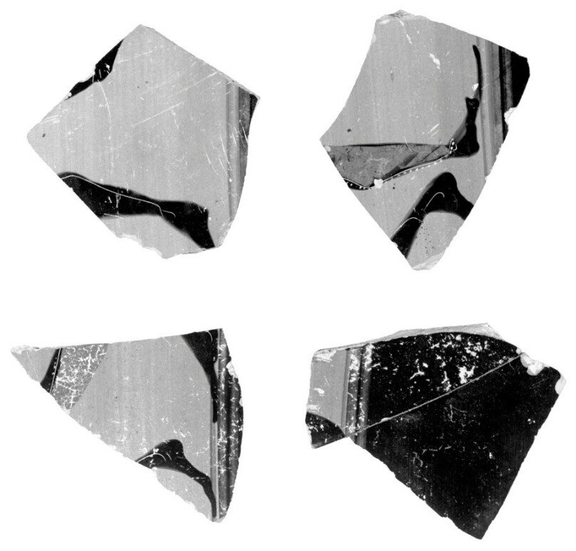 Attic Black-Figure Neck Amphora Fragment