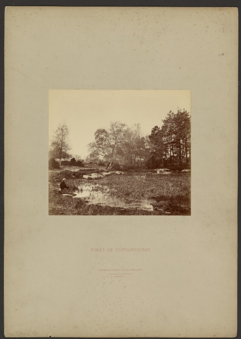 William Drooke Harrison