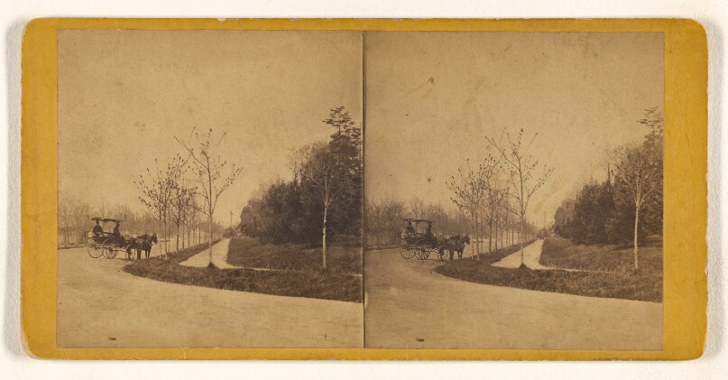 [River Road & Park Carriage, Phila. Park]