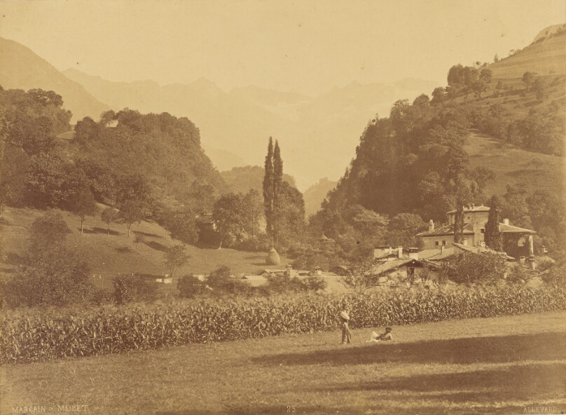 V. Muzet