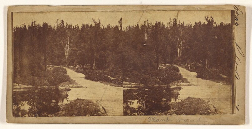 [Plank road] (recto); [Felled trees] (verso)