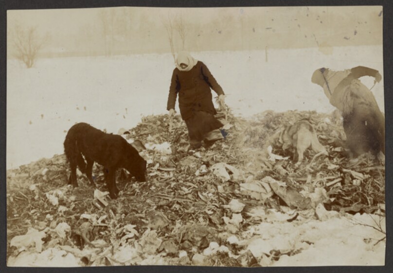 "The Crows" and dogs hunt for treasure in the dump.