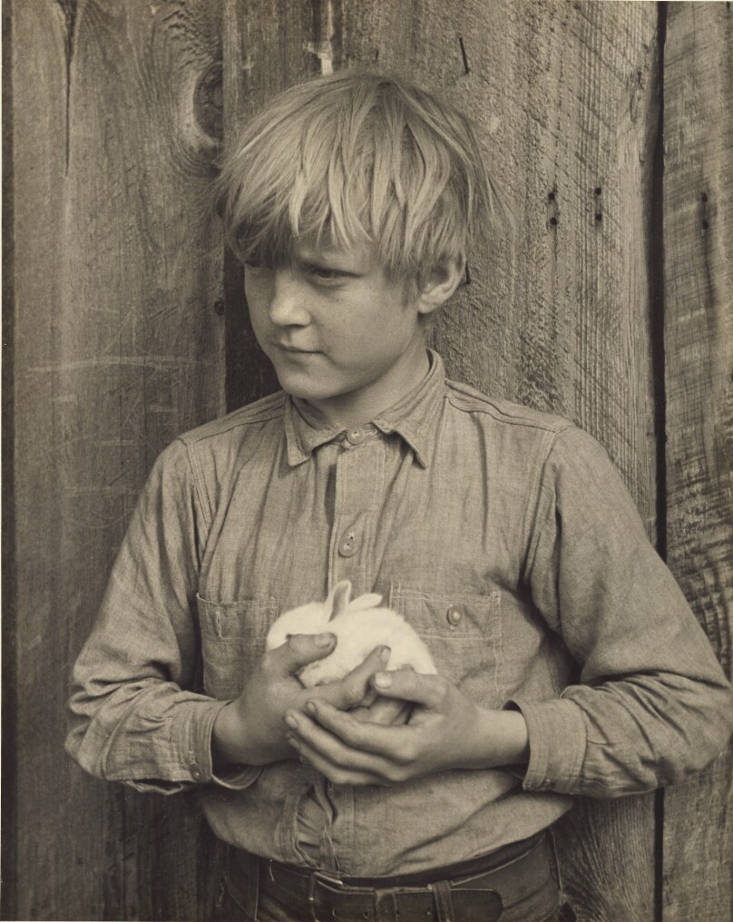 Winfield and his Rabbit
