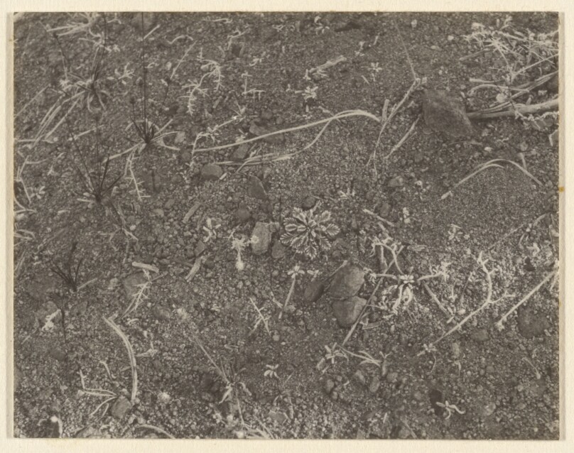 [Untitled Landscape]