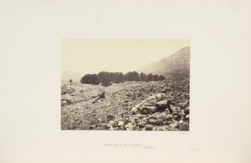 Distant View of the Cedars of Lebanon