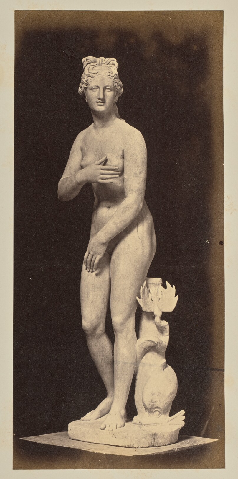 [Venus]