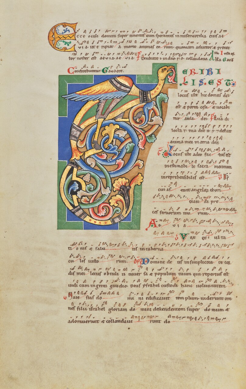 Decorated Initial T