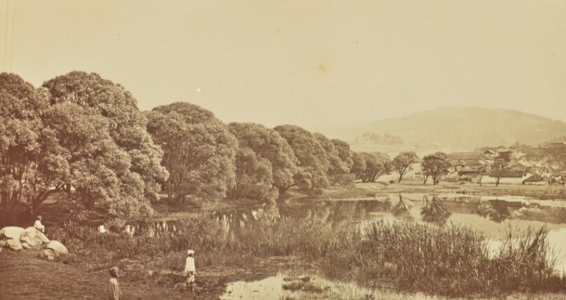 Willoughby Wallace Hooper
