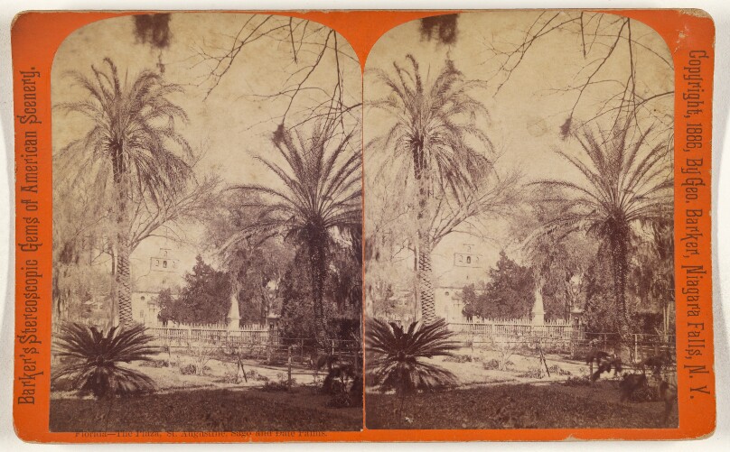 Florda - The Plaza, St. Augustine, Sago and Date Palms.