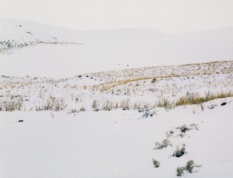 Sand Dunes, Grass, Snow, Great Sand Dunes National Monument, Colorado