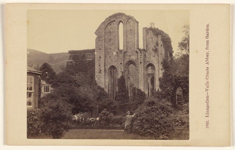 Llangollen - Valle Crucis Abbey, from Garden.