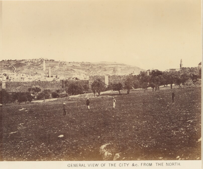 Panoramic View of the City: General View of the City &c. from the North