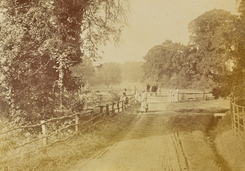 [Group Portrait at a Gate]
