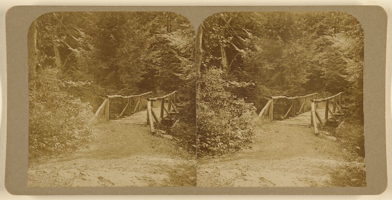 [Hamlock Gorge, Newton Upper Falls, Mass.]