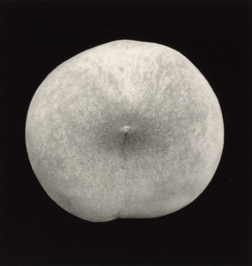 White Peach, Basel, Switzerland