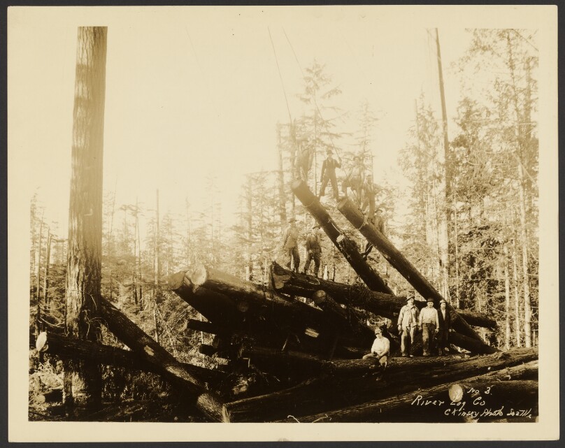[Loggers]