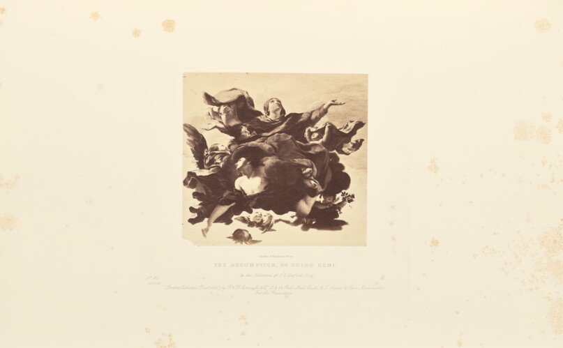 The Assumption, by Guido Reni