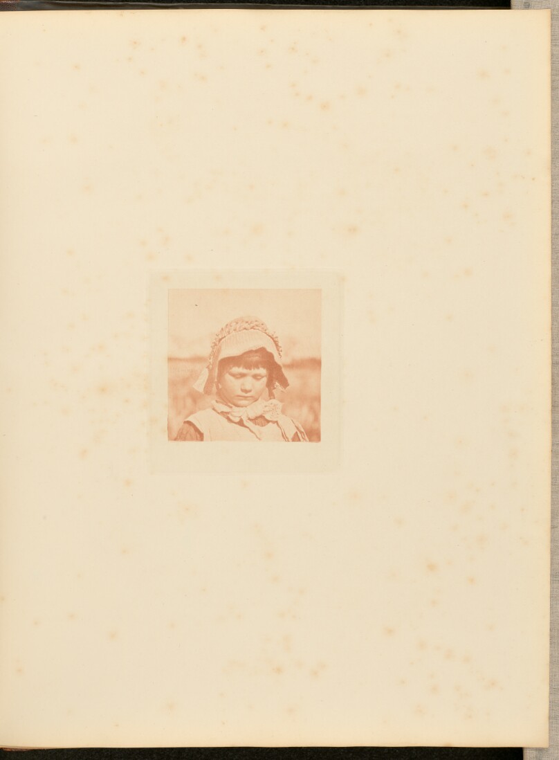 A Norfolk Flower
