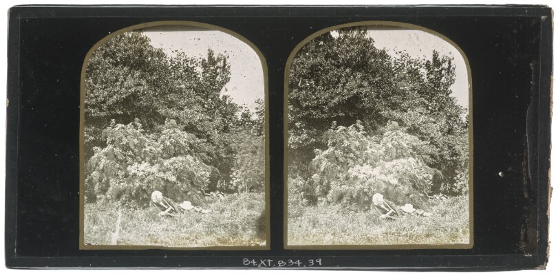 [Unidentified elderly British man reading on the grass near a grove of trees, his white hat resting on his leg]