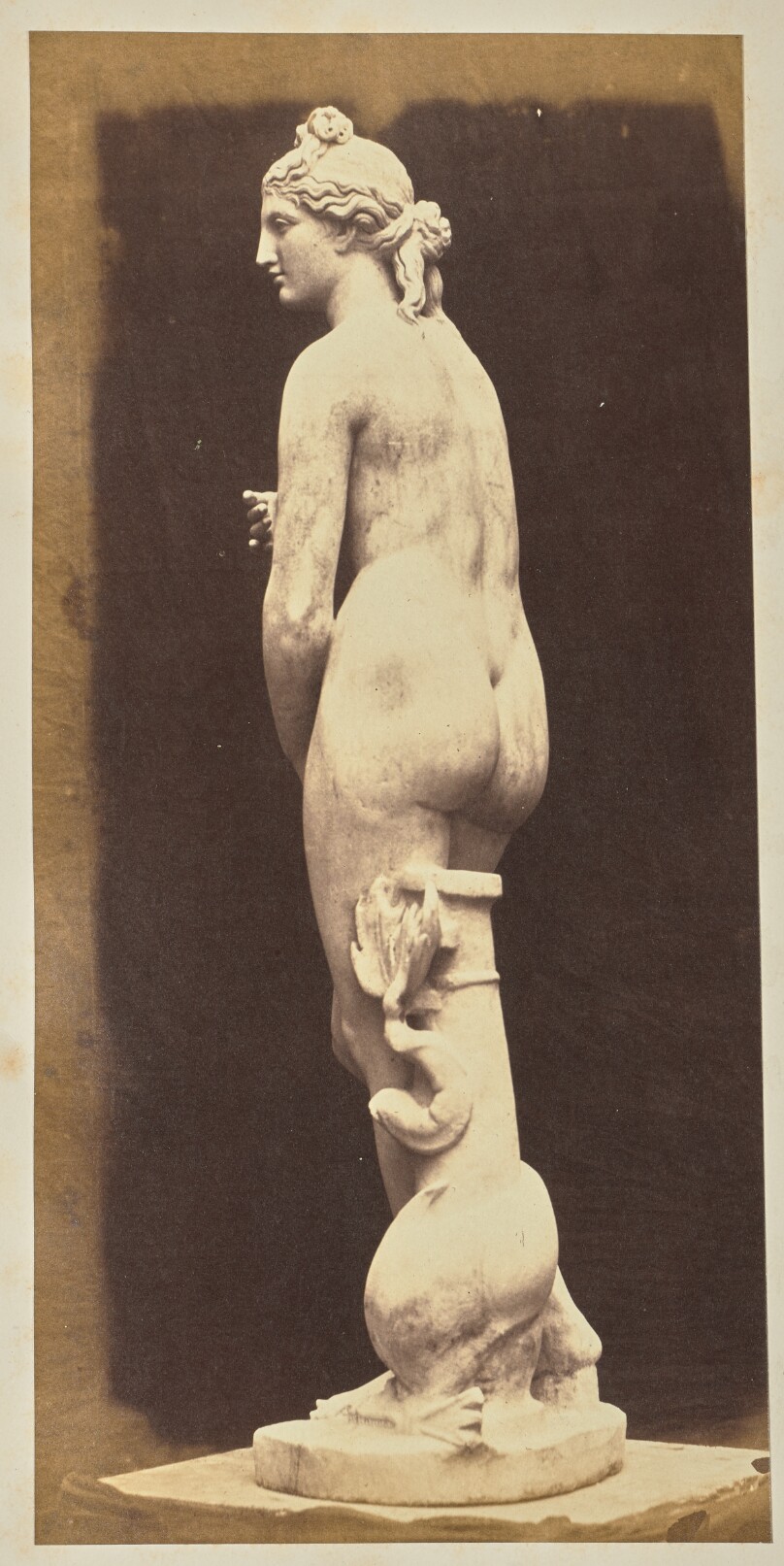 [Venus]
