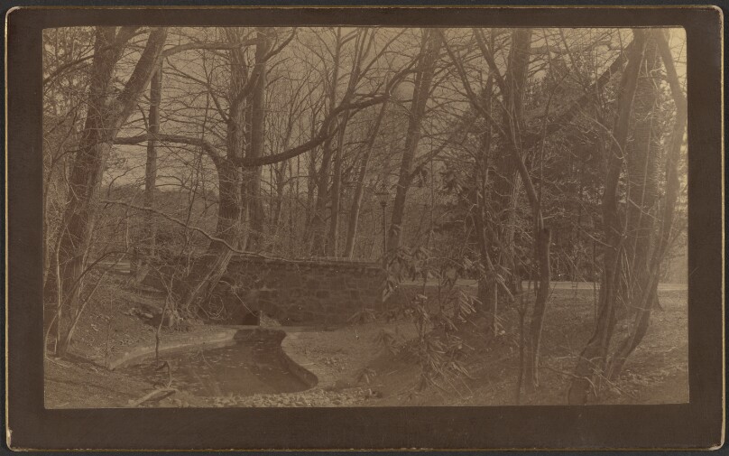 [Wooded area with small pond]