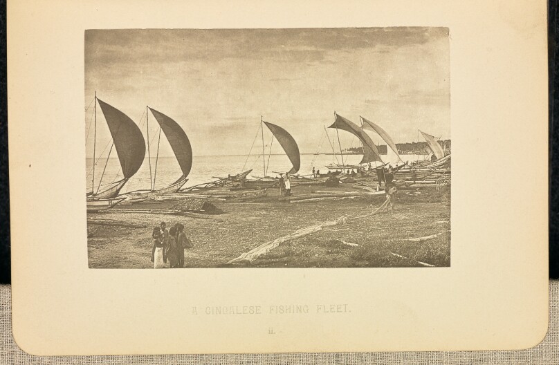 A Singhalese Fishing Fleet