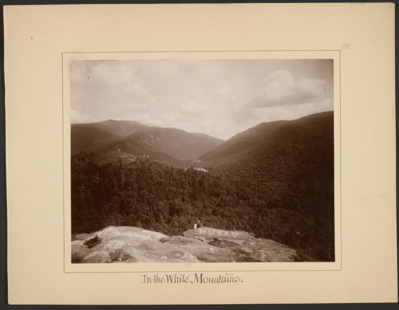 In the White Mountains