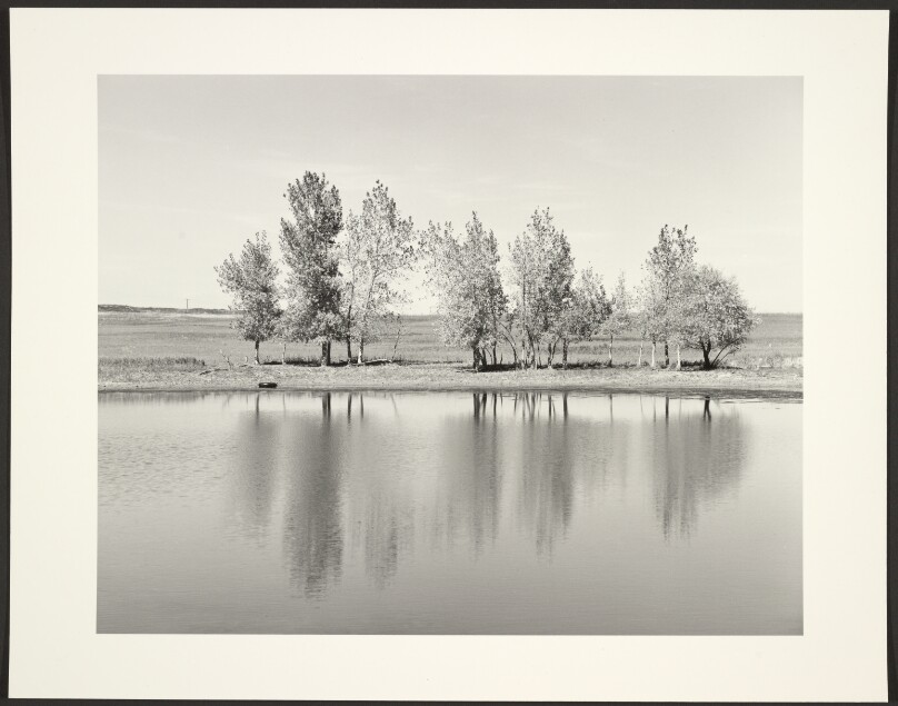 Robert Adams