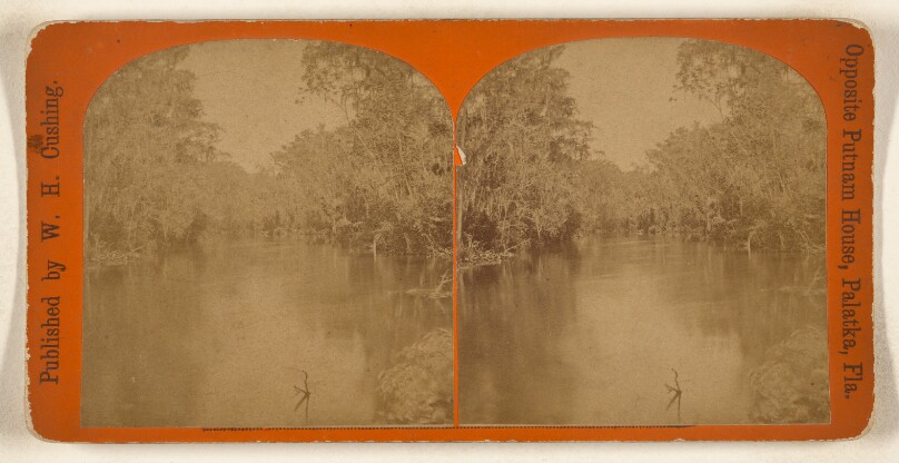 [View on the Ocklawaha River, Florida]