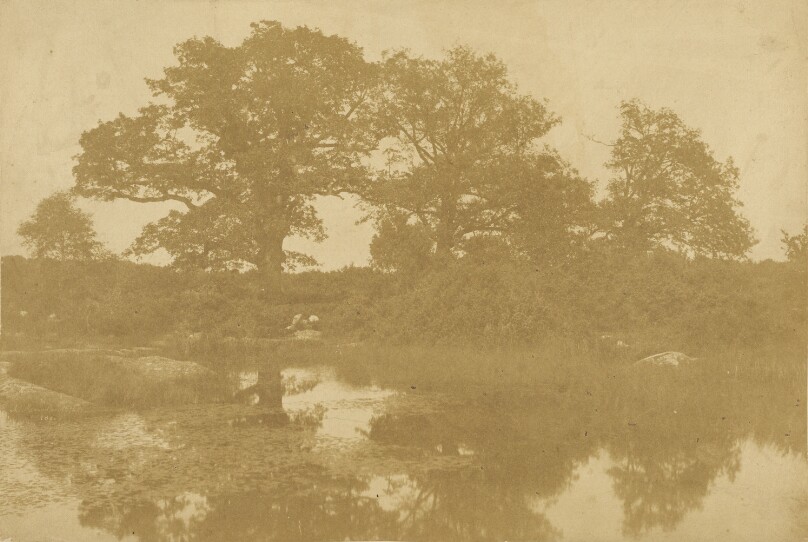 [Forêt de Fontainebleau]
