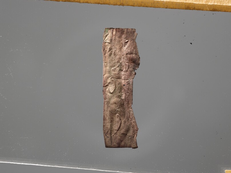 Lamella Case Fragment