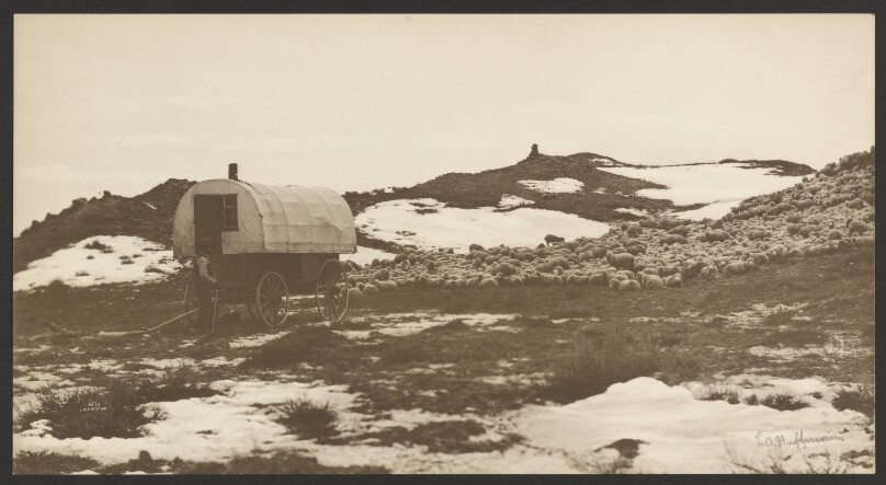 [Drifter, Sheep Wagon and Band on Winter Bedground]
