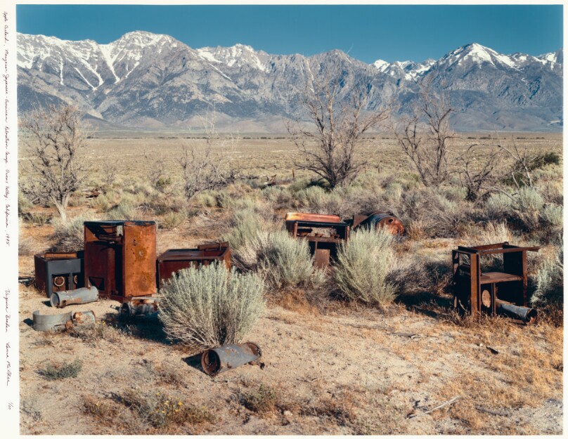Apple Orchard, Manzanar Japanese-American Relocation Camp, Owens Valley, California