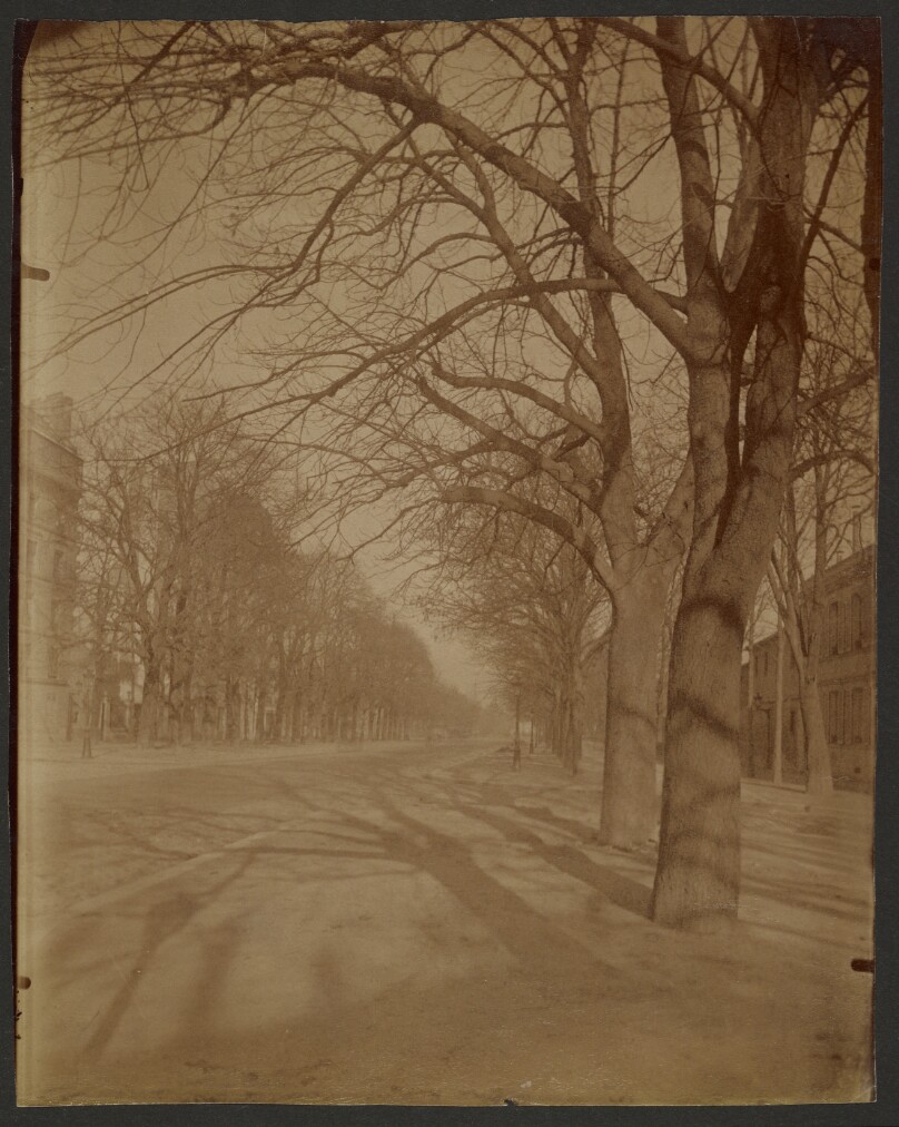 Avenue de l'Observatoire, 14° Arrondissement