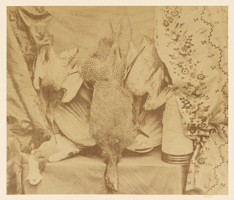 Still Life and Embroidery