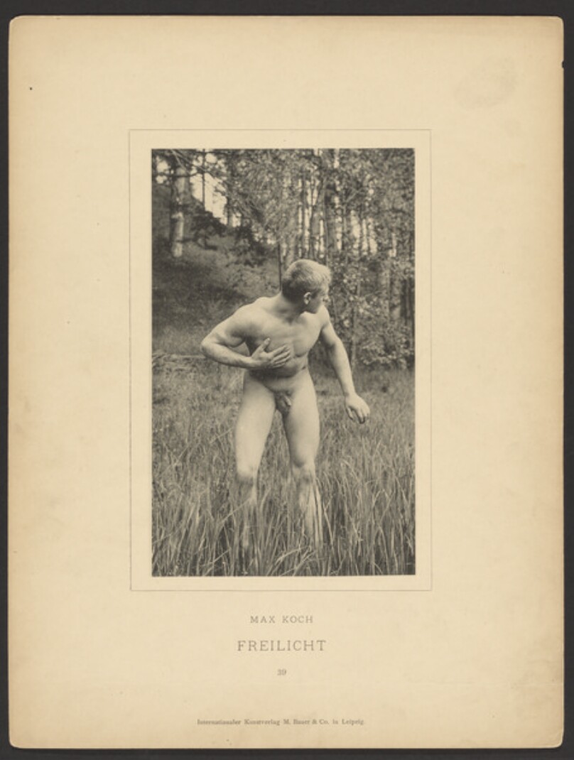 [Plate 39]