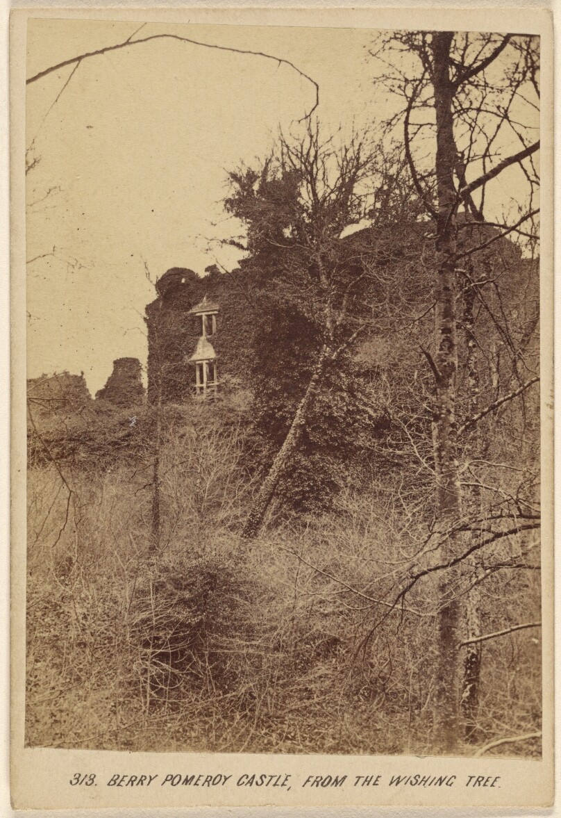 Berry Pomeroy Castle, From the Wishing Tree.