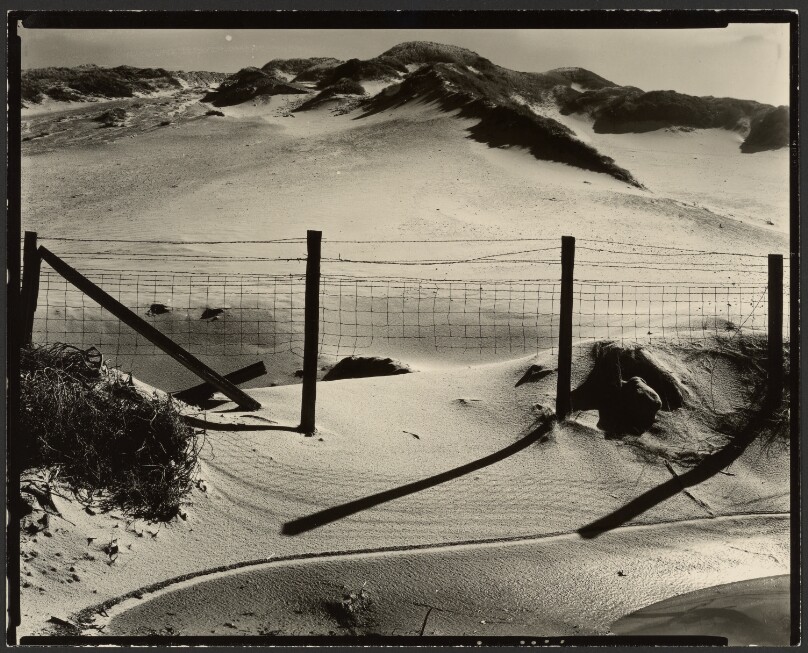 Fence