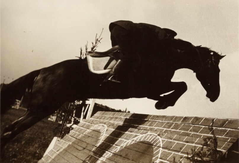 [Jumper (Springreiter)]