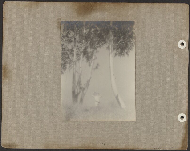 [Brett Weston, in white tunic, surrounded by eucalyptus trees]