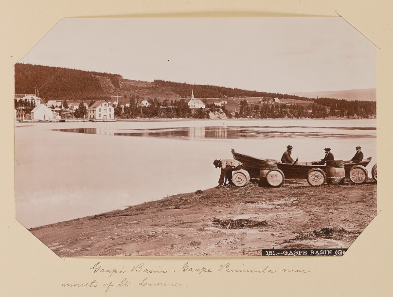 Gaspé Basin
