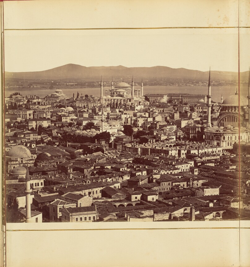 [Plate 7]