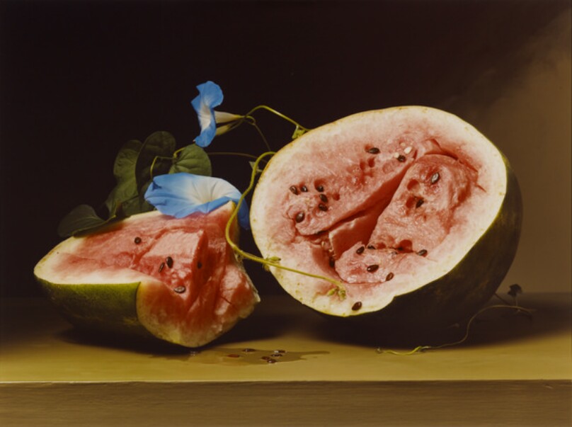 Early American, Melons and Morning Glories