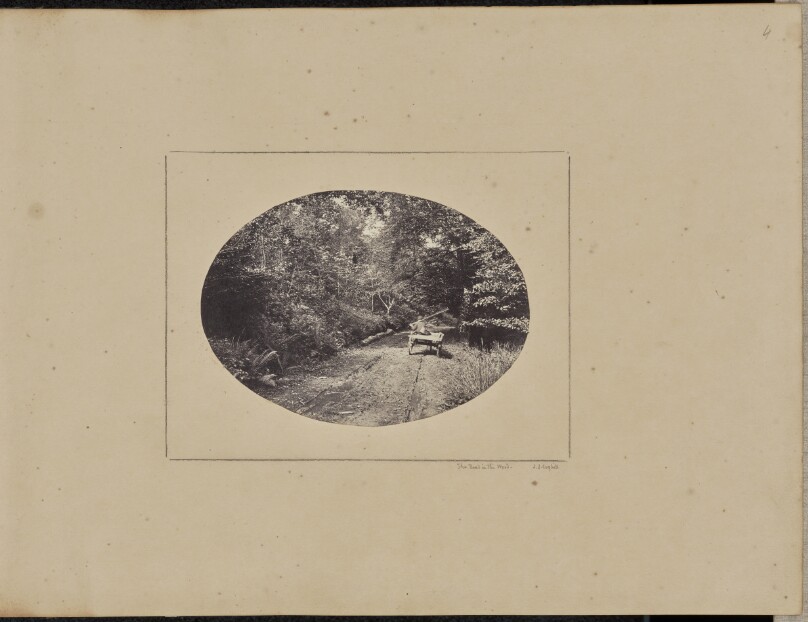 The Road in the Wood