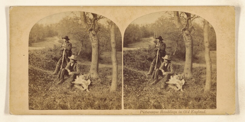 Picturesque Ramblings in old England.